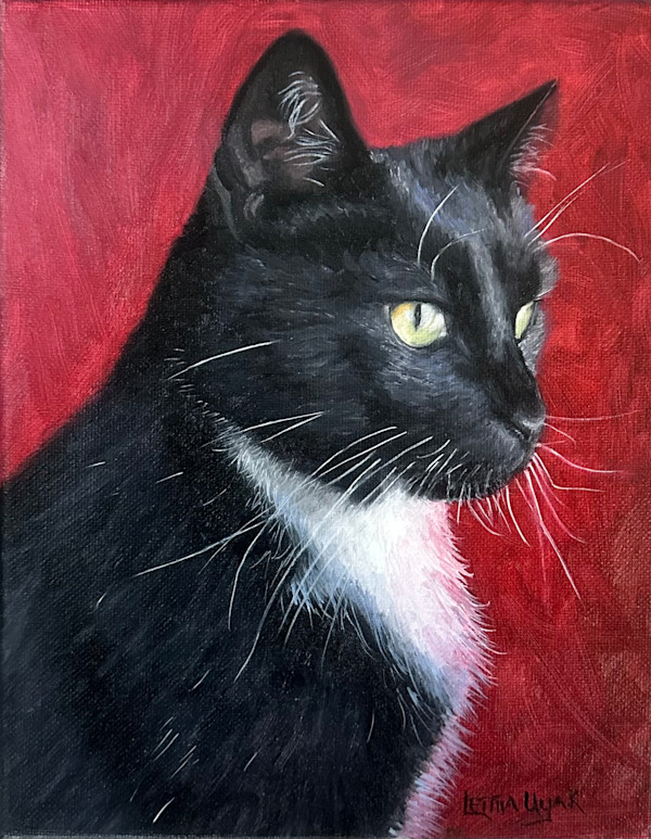 Murray Profile by Letitia Uyak, Image 1.