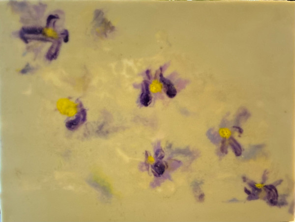 Endangered Flower Study # 2 by Jennifer Leigh Harrison, Image 1.