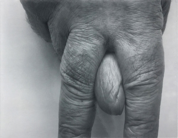Fingers, Variant, No. 11, 1999 by John Coplans