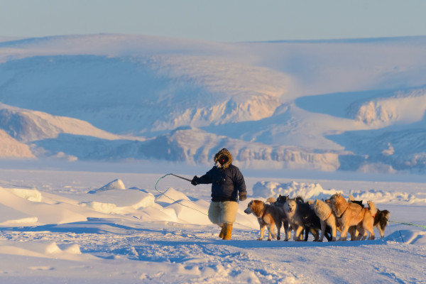 Home From The Hunt, Qaanaaq, Thule, Greenland by Stephen Gorman