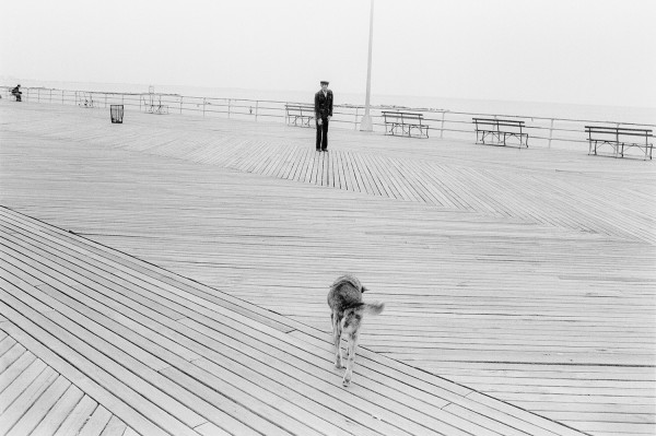 Untitled, (Man Dog Boardwalk) by Karl Baden