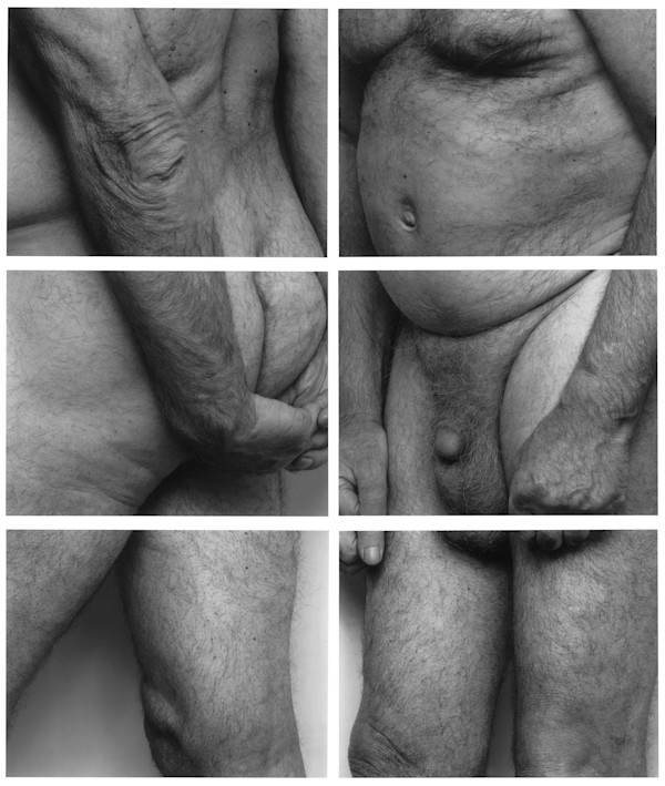 Frieze, No. 1, Two Panels, 1994 by John Coplans