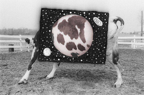 Untitled 1983 by Karl Baden