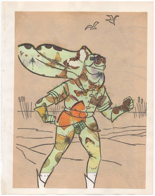Robin by Keith Maddy, Image 12.
