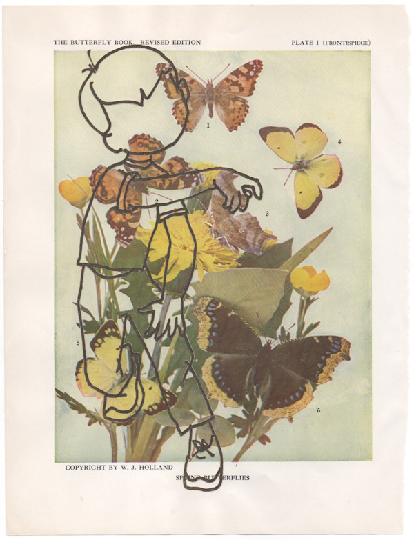 Soft Landing by Keith Maddy, Image 11.