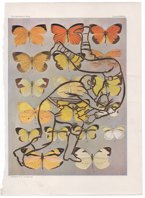 Wrestlers by Keith Maddy, Image 18.