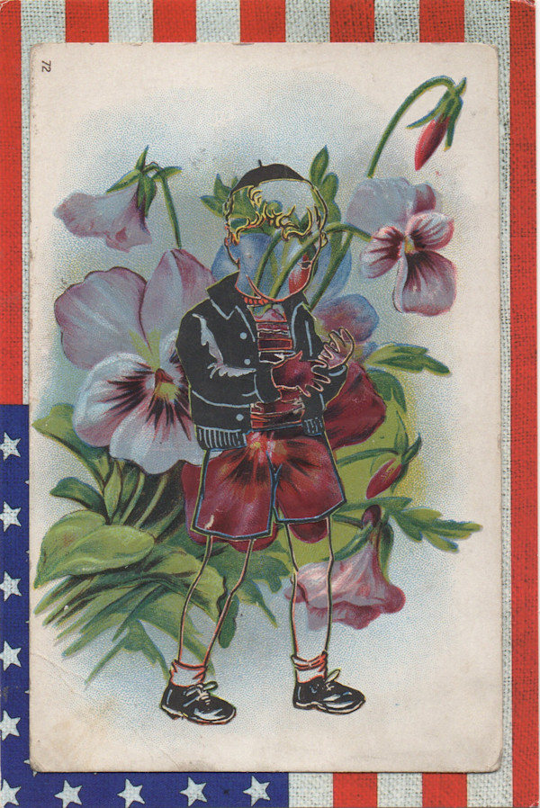 Leather Pansy by Keith Maddy, Image 1.