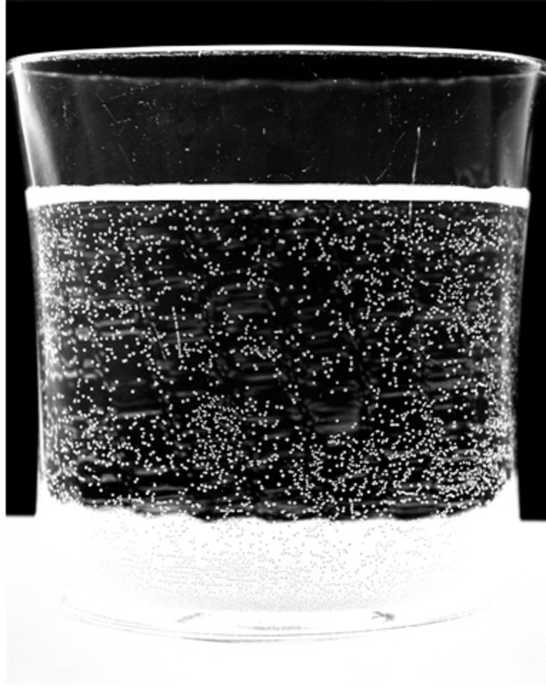 Water Glass 11, 2000 by Amanda Means