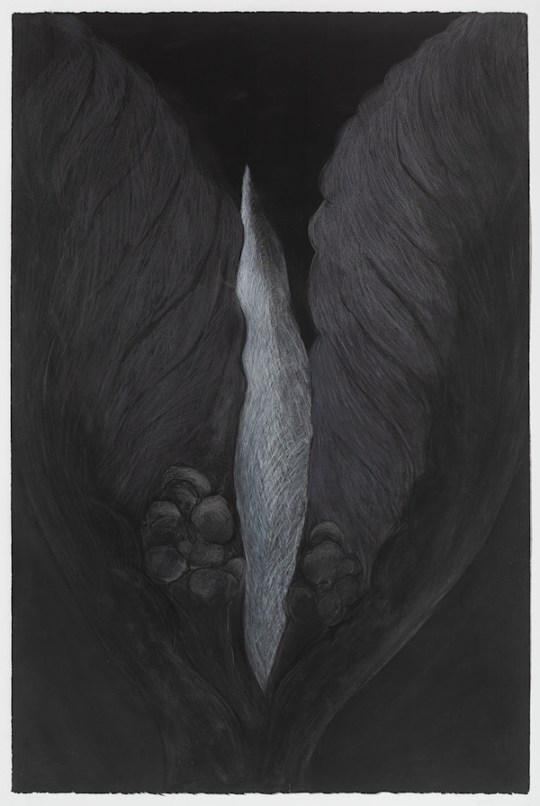 Black Beauty 21285 (Framed)