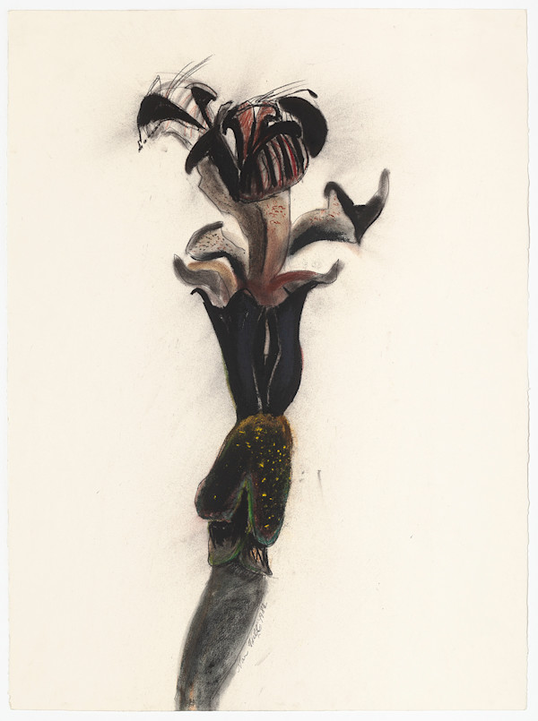 Native Wand 6 (Framed)