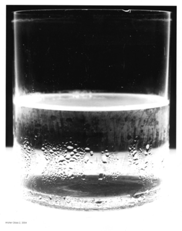 Water Glass 2, 2004 by Amanda Means