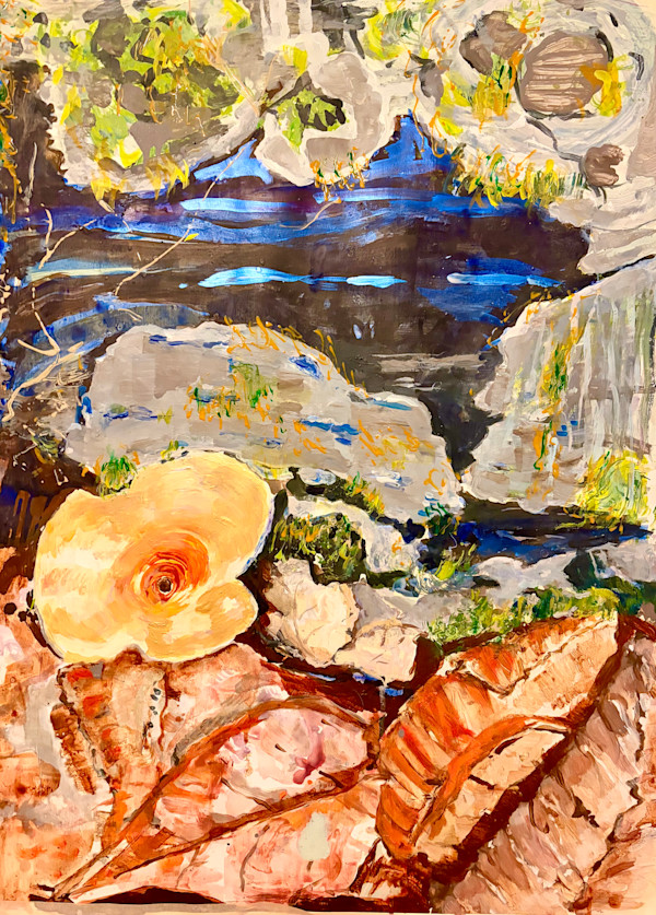 Moss at Cold River Camp by Susan Schapira