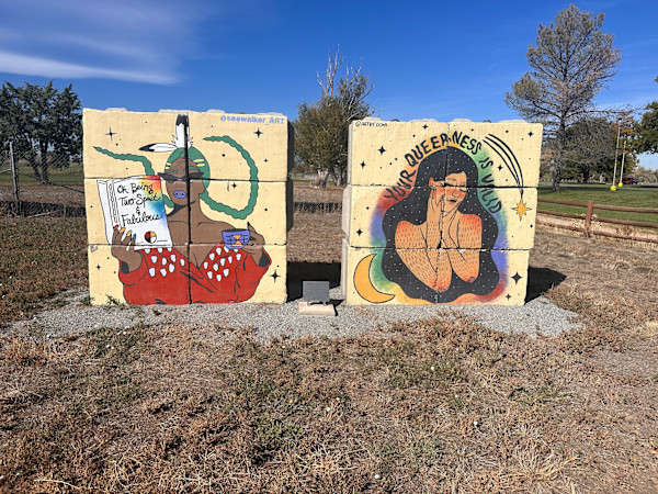 Two-Spirit & Fabulous by Alyssa Ocha, Danielle SeeWalker, Image 1.