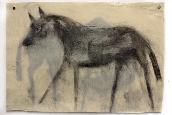horse by Ashley Ivye, Image 1.