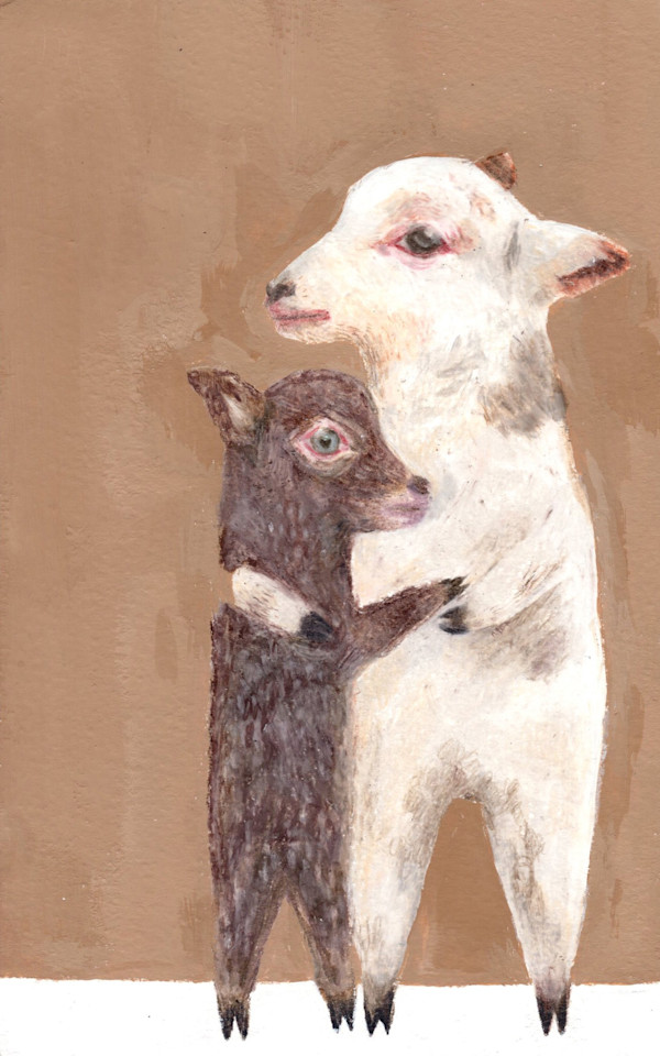 safe lambs by Ashley Ivye, Image 1.