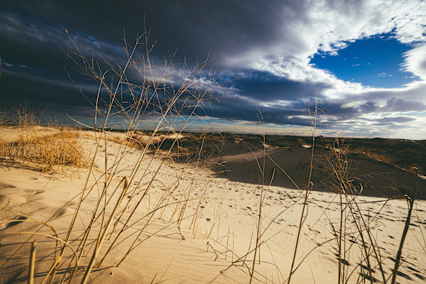 December on the Dunes, Monahans, TX by Marjorie Parker, Image 1.