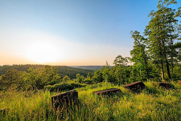 Golden Hour on the Edge of the Ozark National Forest, Arkansas by Marjorie Parker, Image 1.