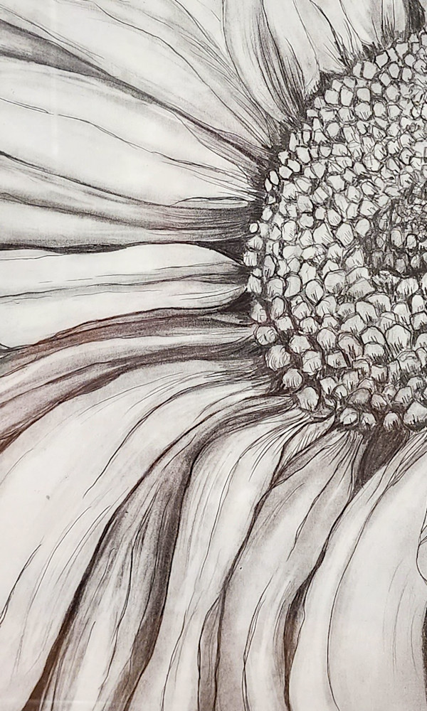 Let the Daisy Decide - He Loves Me, He Loves Me Not by Lynn Cote, Image 1.
