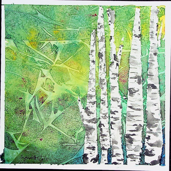 Birches in Summer by Lynn Cote, Image 1.
