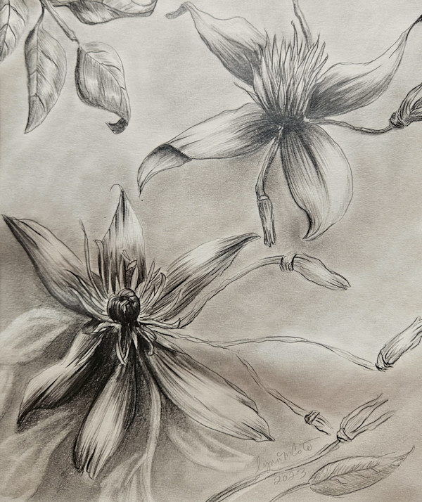 Climb, Little Clematis, Climb by Lynn Cote, Image 3.