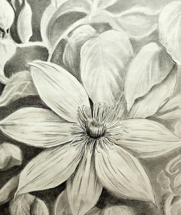 Vining Beauty - Clematis by Lynn Cote, Image 4.