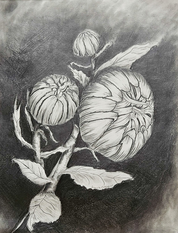 Daisy Bud by Lynn Cote, Image 5.
