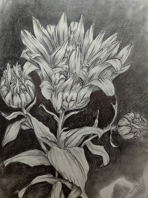 Daisy Mid Bloom by Lynn Cote, Image 8.