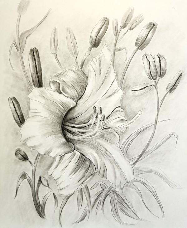 Lily, OH, Daylily by Lynn Cote, Image 6.
