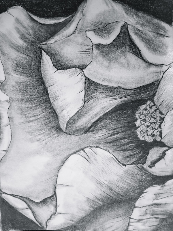 Oh, Flower, I Wish I Knew Your Name by Lynn Cote, Image 10.