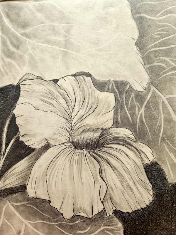 Functional Beauty - Nasturtium by Lynn Cote, Image 15.
