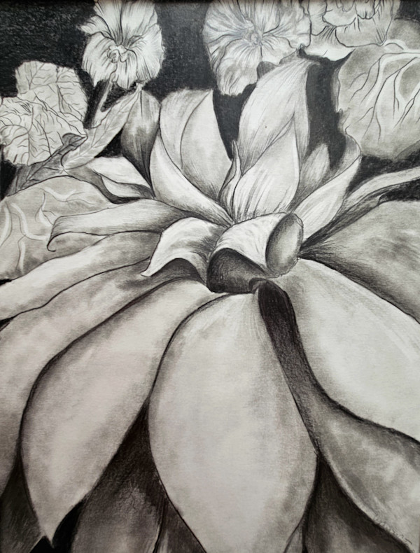 Absolutely Succulent! by Lynn Cote, Image 13.