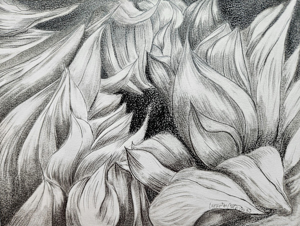 A Dramatic Sunflower is Born by Lynn Cote, Image 14.