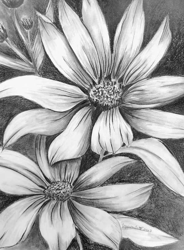 Coreopsis Twins by Lynn Cote, Image 2.