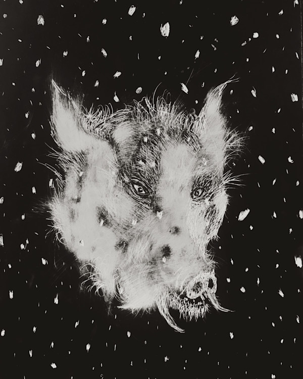 Earth Boar, 2019 by Ethan Garton, Image 1.