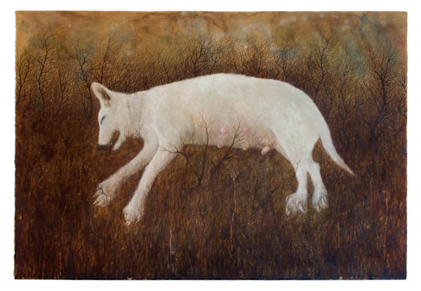 Street Dog Dreams of the Garden, 2010 by Ethan Garton, Image 2.