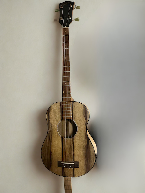 Gibson Tenor Guitar by Gibson, Image 2.