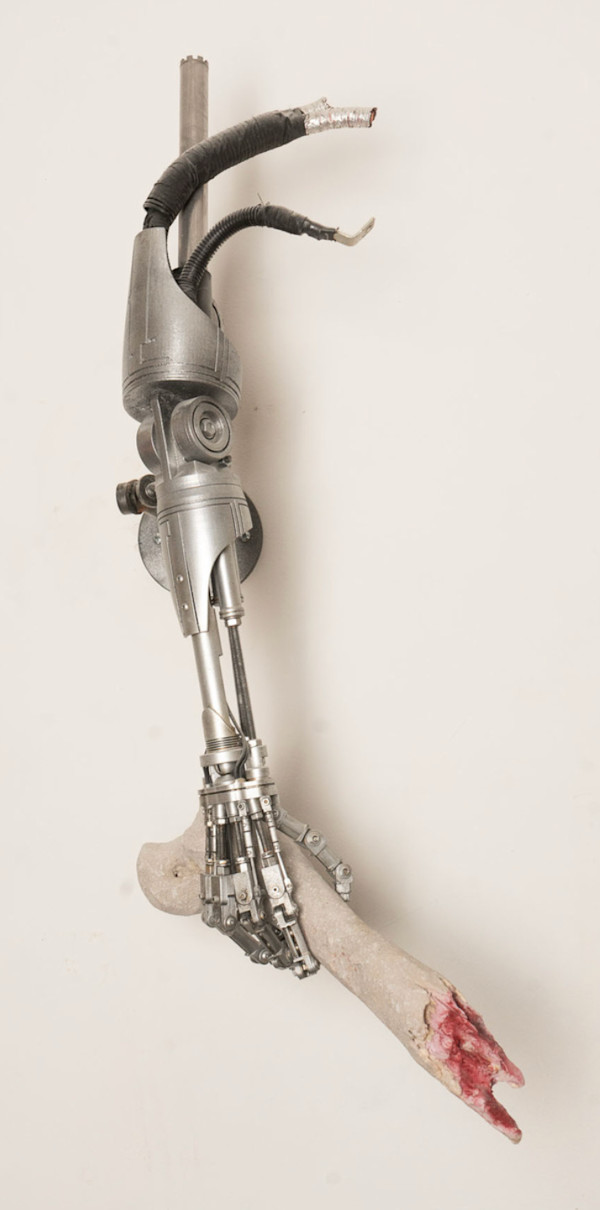 ODISEA T-800 by Chavis Mármol, Image 1.