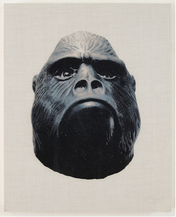 Sin Título (Gorilas 1) by Chavis Mármol, Image 1.