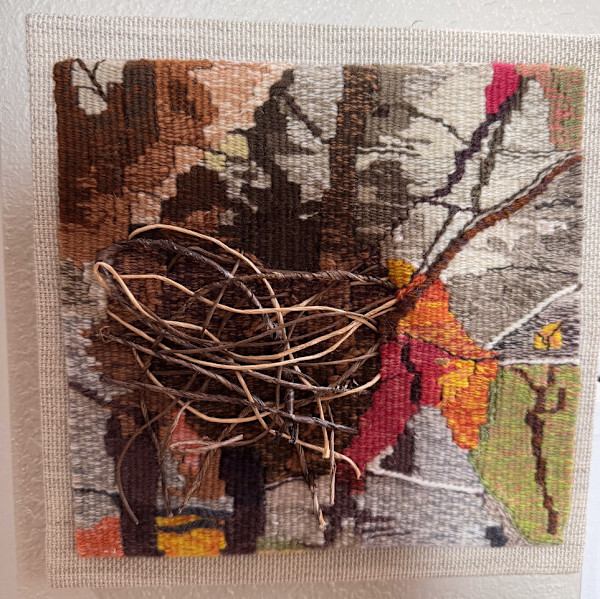 Abandoned Nest by Kathy DeOrnellas, Image 1.