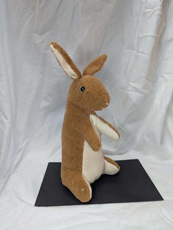 Velveteen Rabbit by Katherine Manfre, Image 1.