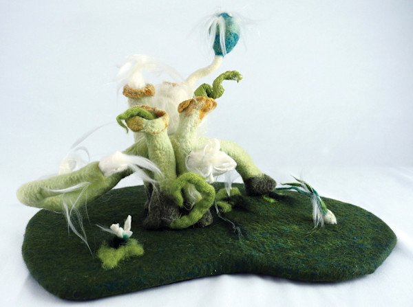 What’s Happening to the Sea Creatures? by Jennifer Angelo, Image 1.