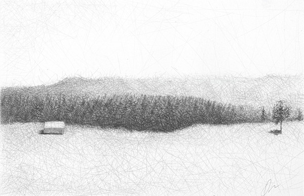 Tree with Shadow by Douglas Gilbert, Image 1.