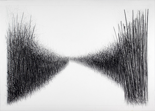 Path II by Douglas Gilbert, Image 1.