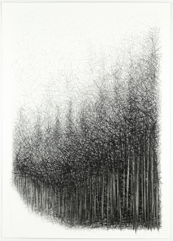 Path IV by Douglas Gilbert, Image 1.