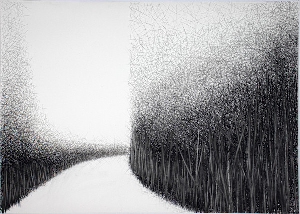 Path VI by Douglas Gilbert, Image 1.