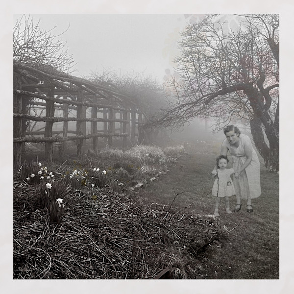 Bloomingg_l9jhsu_13 by Ellen Konar + Steve Goldband, Image 2.