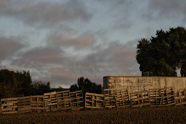 Central Pacific by Ellen Konar & Steve Goldband, Image 1.