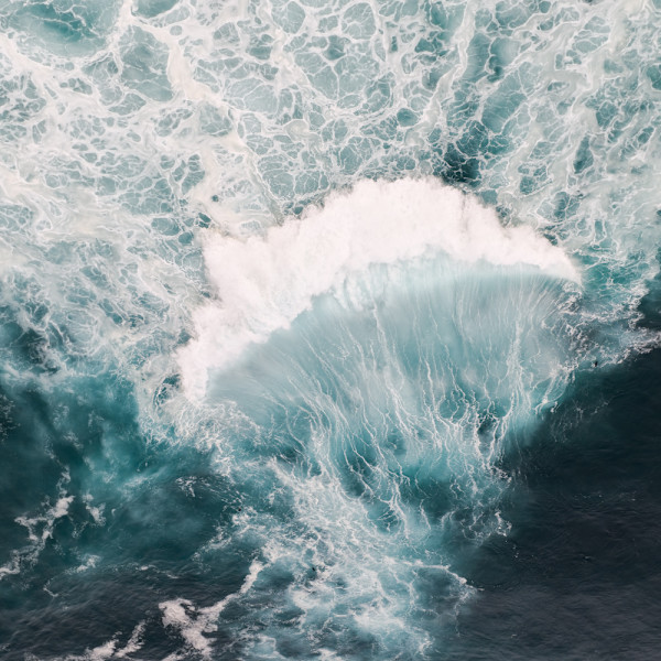 Corpus I by Ellen Konar + Steve Goldband, Image 1.
