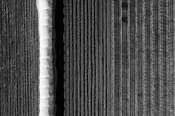 February 15 3-00 by Ellen Konar + Steve Goldband, Image 1.