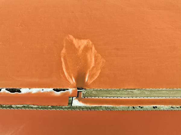 Flame by Ellen Konar & Steve Goldband, Image 1.